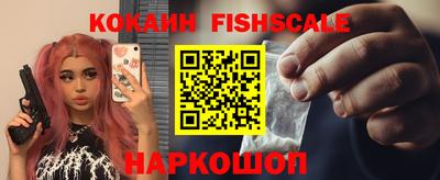 гашик Будённовск