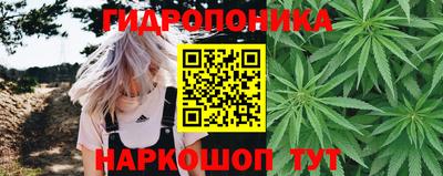 гашик Будённовск