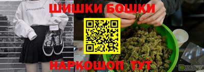 гашик Будённовск