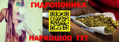 гашик Будённовск