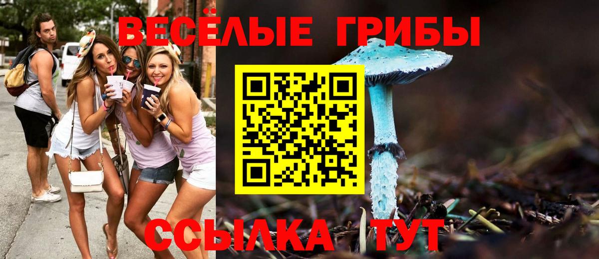 магазин продажи наркотиков  Галлюциногенные грибы Magic Shrooms  Вход с VPN  Лиски 